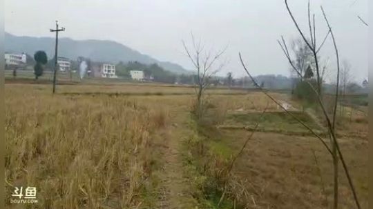 哆啦爱梦梦发布了一个斗鱼视频2019-02-13