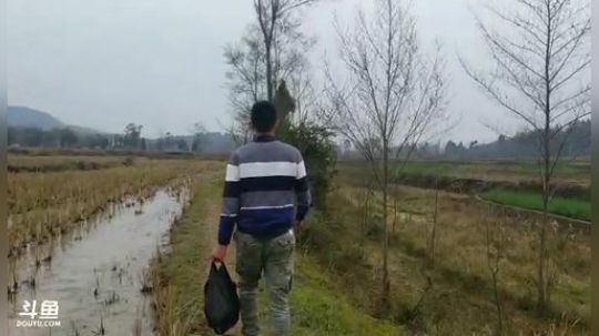 哆啦爱梦梦发布了一个斗鱼视频2019-02-13