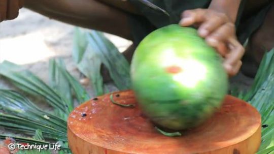 【荒野戏精】~两个小戏精~西瓜炖鸭杂~