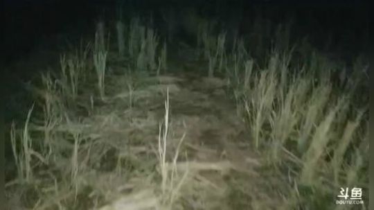 我想带你去我外婆家、、、、、、、、 2019-02-13 19点场