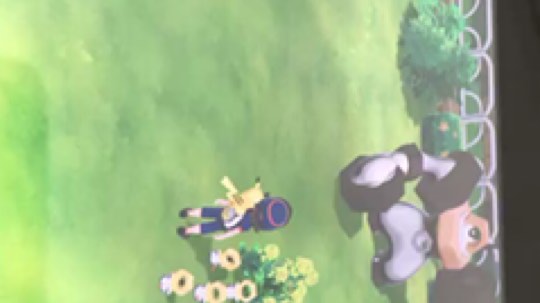 一群小螺母和闪光大螺母！