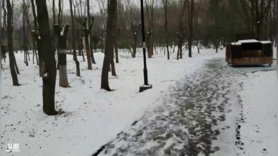 我在斗鱼看火力堂主直播户外