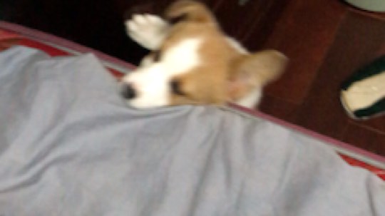 姐姐你能不能别这么皮