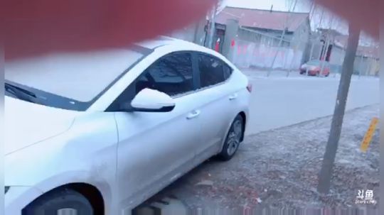 上不去网看看鹅毛大雪 2019-02-14 14点场