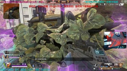 Apex战神模式，4000伤害20鸡冲鸭 2019-02-15 18点场