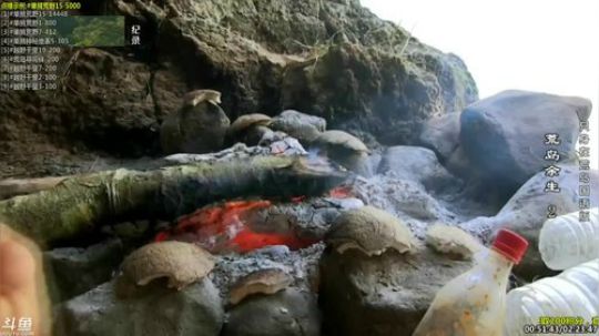 户外遛狗王飞哥发布了一个斗鱼视频2019-02-16