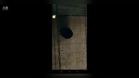 树懒熊：今天我是树懒！ 2019-02-17 14点场