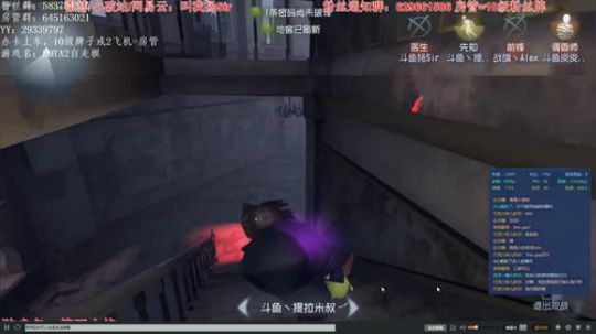 树懒熊：准备陪你们一天的懒熊 2019-02-16 21点场