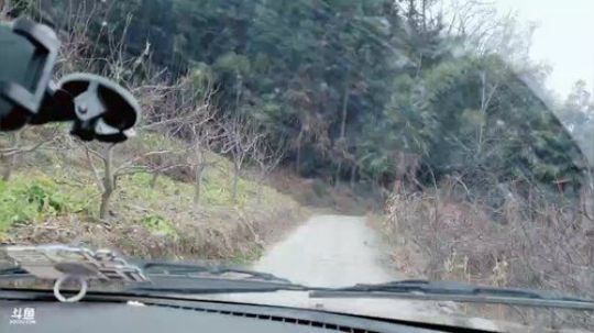 这个鱼长的好漂亮(≧ω≦)/ 2019-02-18 13点场