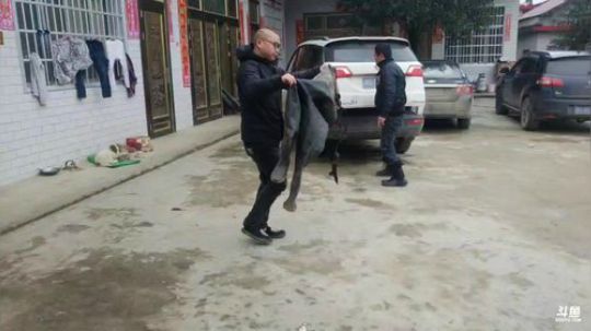 龙马精神之神笔马龙发布了一个斗鱼视频2019-02-19