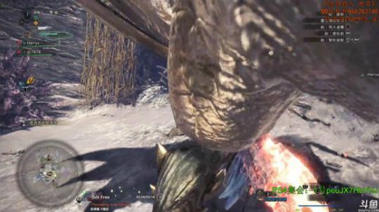 神隐：怪物猎人 世界 6.0 2019-02-18 01点场