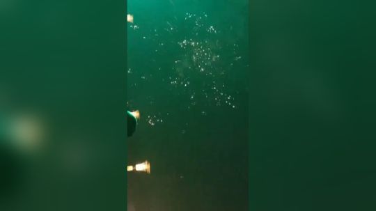 若晟ing发布了一个斗鱼视频2019-02-19