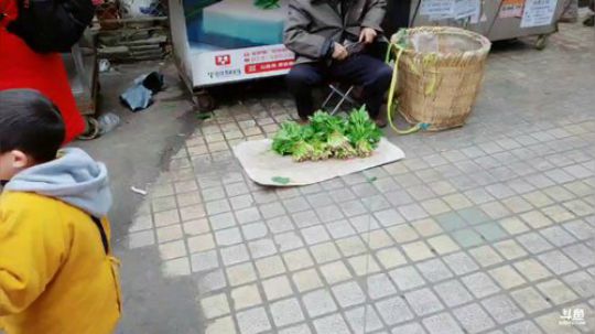 万州周边游 2019-02-20 13点场