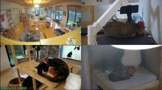 HHHISHHH发布了一个斗鱼视频2019-02-20