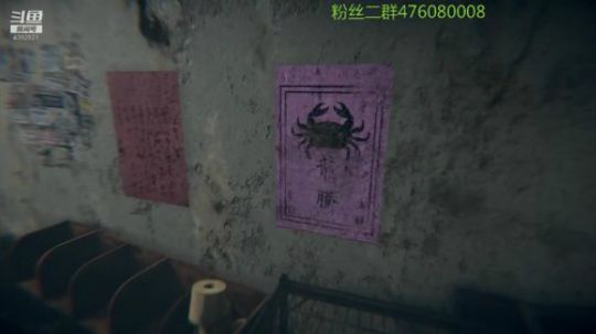 圆圆的你们真可爱 2019-02-19 21点场