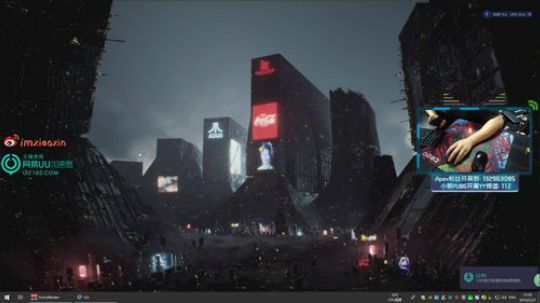 小新：Apex 叫我路人王 2019-02-21 20点场