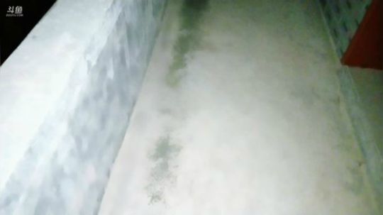 雨中等你666发布了一个斗鱼视频2019-02-21