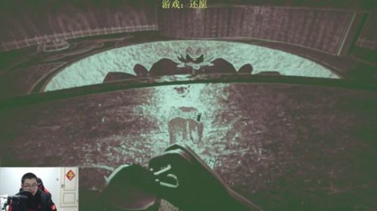 我在斗鱼看火力堂主直播主机游戏