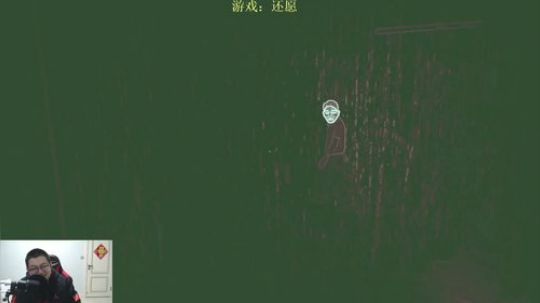 我在斗鱼看火力堂主直播主机游戏