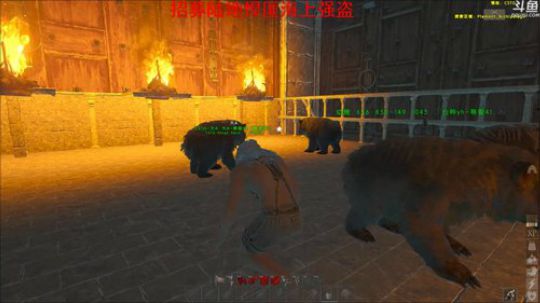 CSTG-亲卫队招贤纳士 2019-02-21 03点场