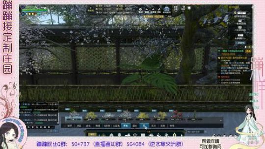 蹦小样：梦想老板主院^^~ 2019-02-20 13点场