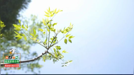 丿Good丶发布了一个斗鱼视频2019-02-22