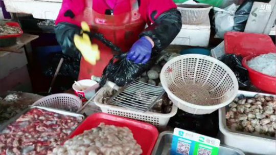 西北老狼哥哥发布了一个斗鱼视频2019-02-22