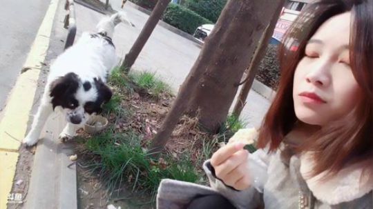 肖淑洁生命中的光和盐发布了一个斗鱼视频2019-02-22