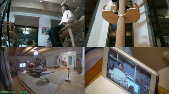 我在斗鱼看喵放送直播户外