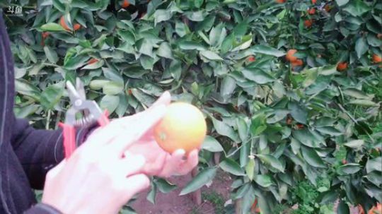 来了，老弟。 244548 2019-02-22 17点场