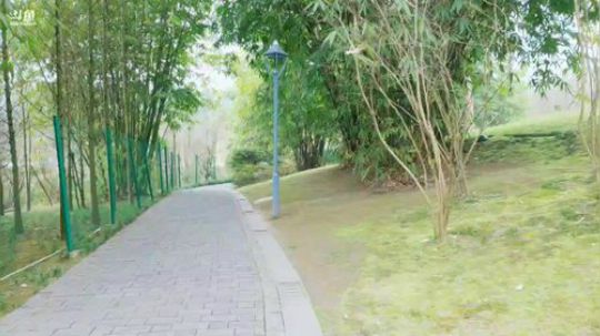 来了，老弟。 244548 2019-02-22 09点场