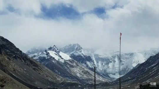 哆啦爱梦梦发布了一个斗鱼视频2019-02-22