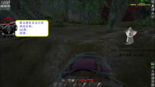 【熊猫】CSTG第五舰队 干~！ 2019-02-18 17点场