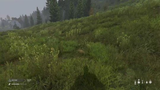 dayz僵尸末日 840351 2019-02-22 19点场