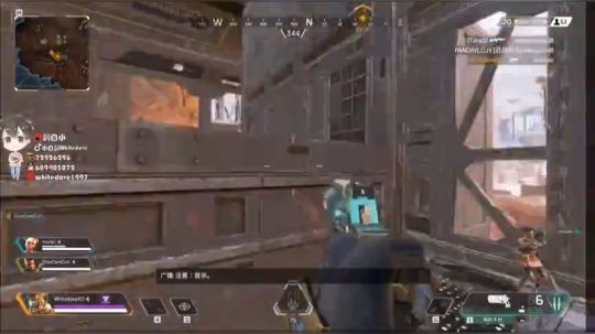 歪，你们知道一头猪猪叫婉莹么？她好狠