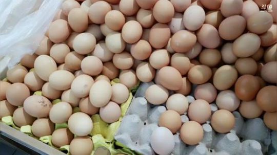 来了，老弟。 244548 2019-02-23 16点场