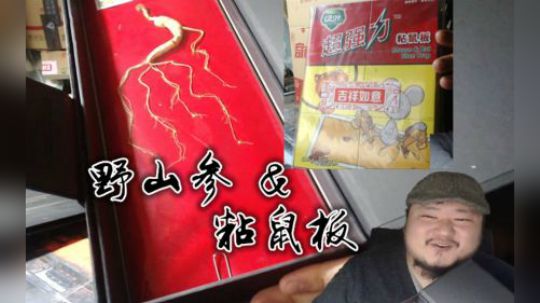餐语 开箱野山参 混搭粘鼠板