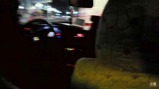 这是一场旅行。 2019-02-22 02点场
