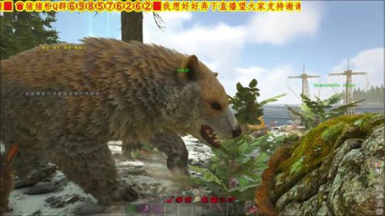 ❤️✨全图搜索✨❤️卖豆腐 2019-02-24 11点场