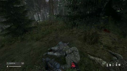 dayz僵尸末日 840351 2019-02-24 21点场
