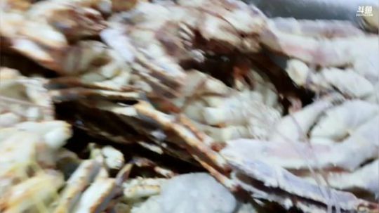 龙马精神之神笔马龙发布了一个斗鱼视频2019-02-25