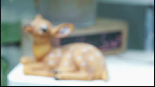 VLOG3-和我一起拍摄吧