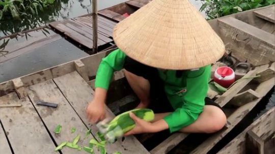 【水上人家】木瓜配羊肉