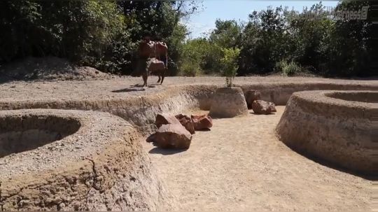 【躺尸兄弟】年度最佳游泳池。