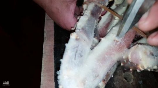 西北老狼哥哥发布了一个斗鱼视频2019-02-26