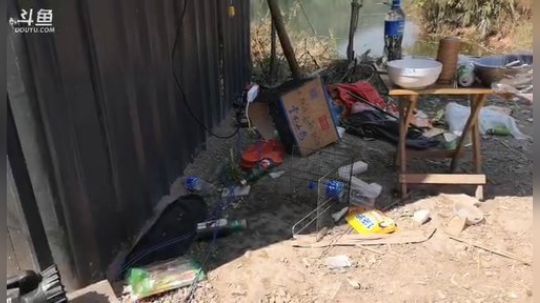 龙马精神之神笔马龙发布了一个斗鱼视频2019-02-26