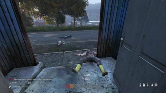 dayz僵尸末日 840351 2019-02-25 11点场