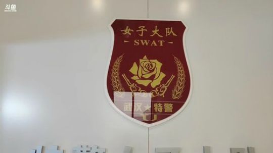 硬核女团-女子特警队 2019-02-26 13点场