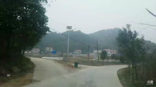 轮椅直播间。 2019-02-26 11点场