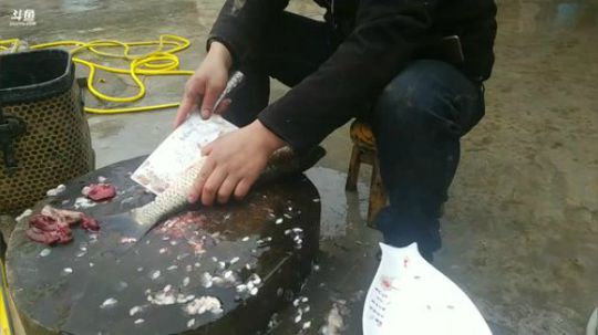 欢迎靓大爷来做客 2019-02-27 15点场